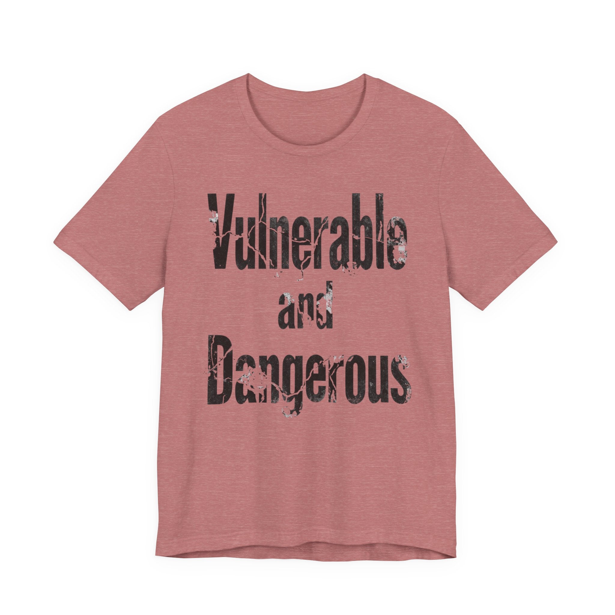 Vulnerable and Dangerous