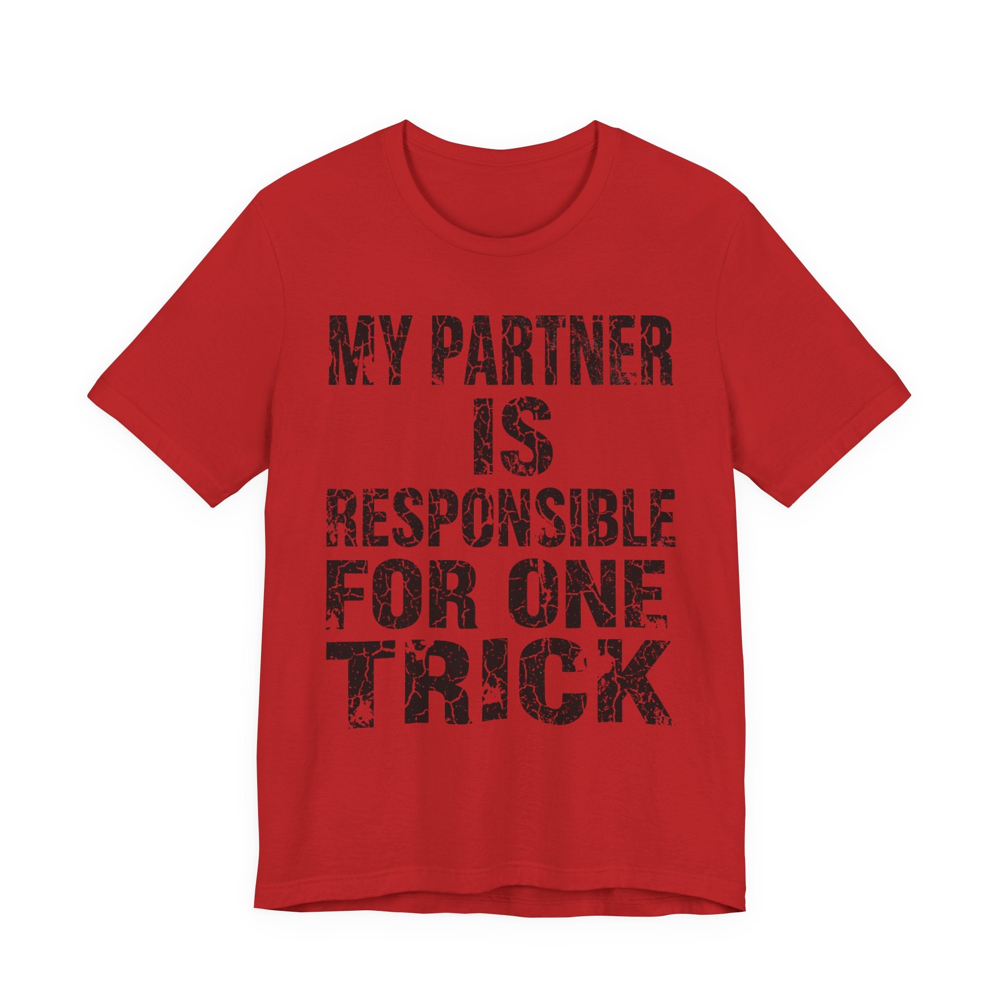 My Partner Is Responsible For One Trick