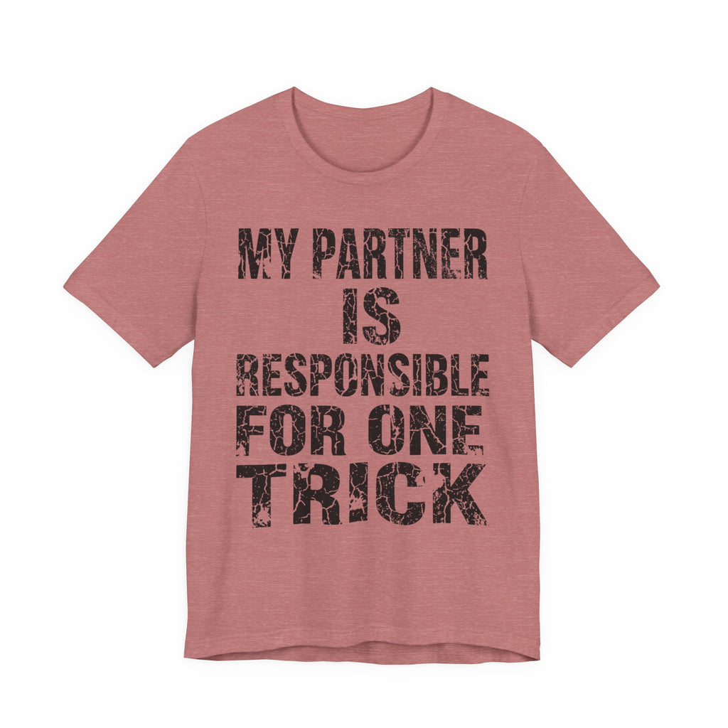 My Partner Is Responsible For One Trick