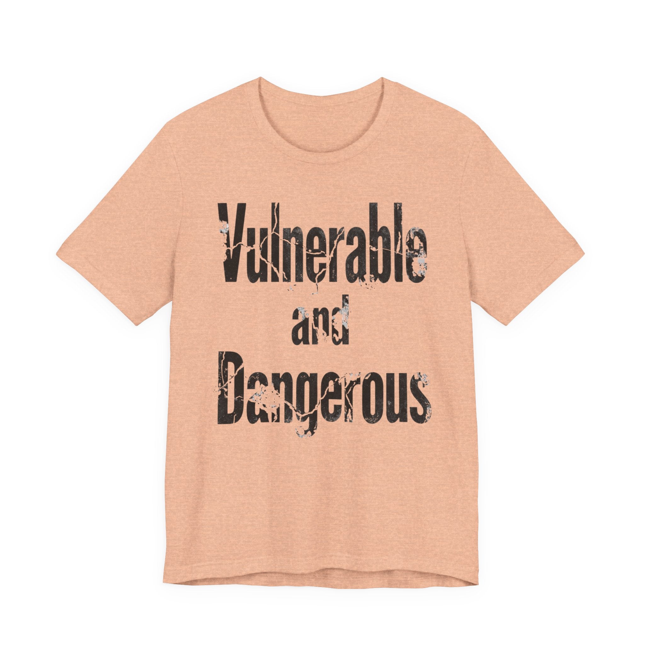 Vulnerable and Dangerous