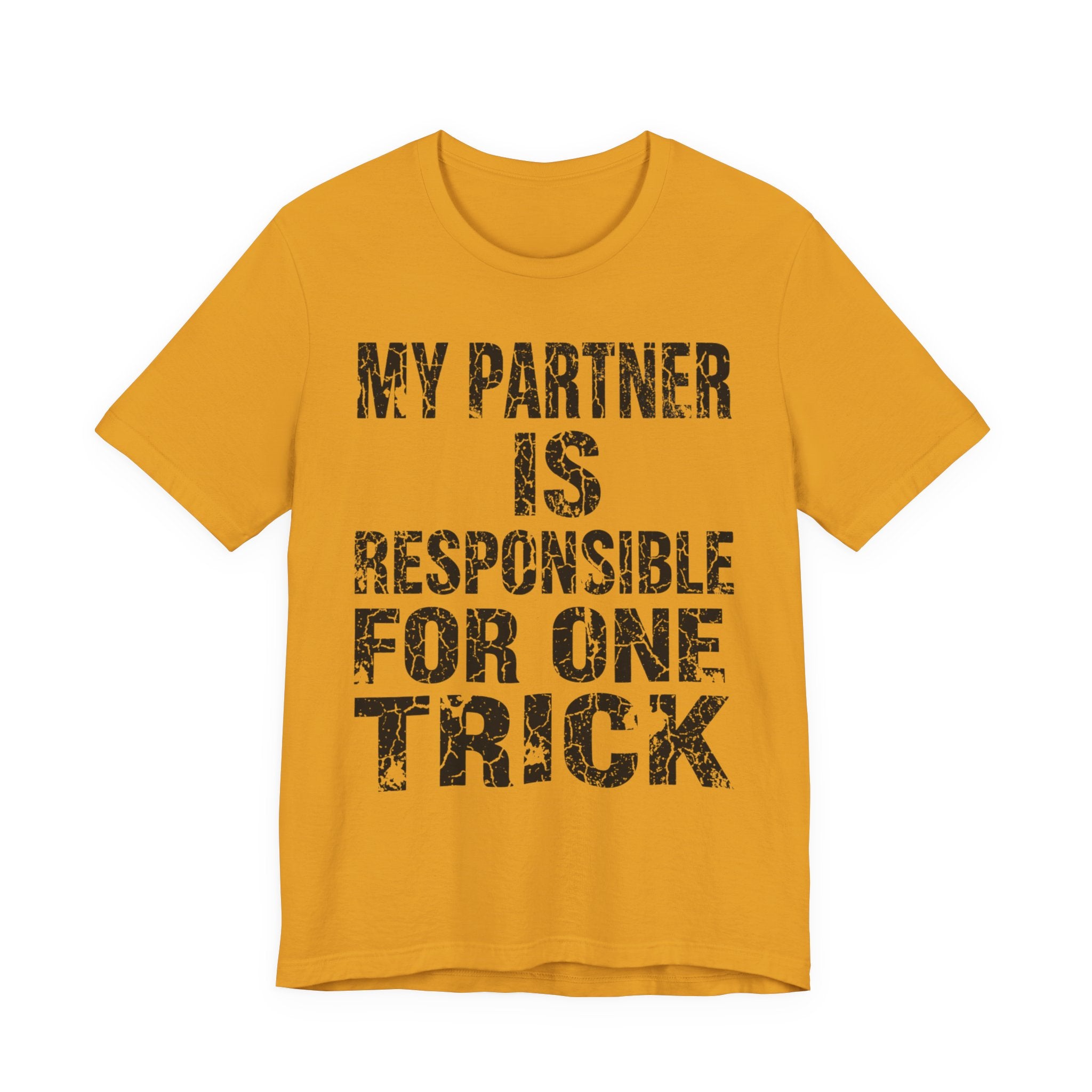My Partner Is Responsible For One Trick