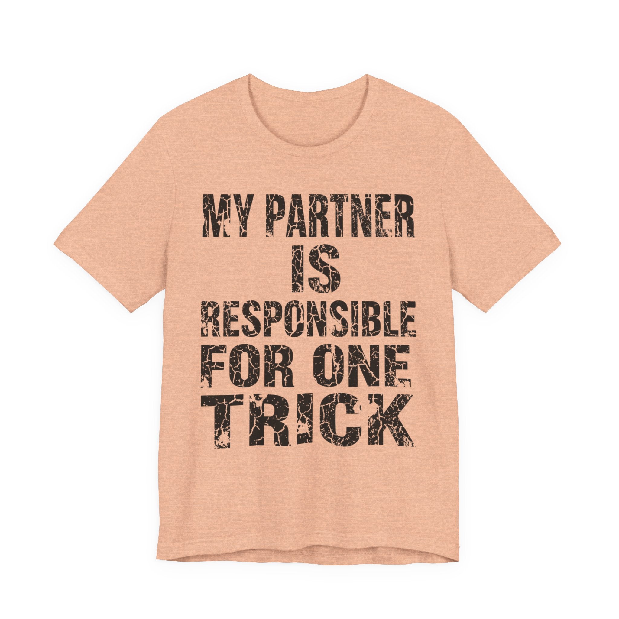 My Partner Is Responsible For One Trick