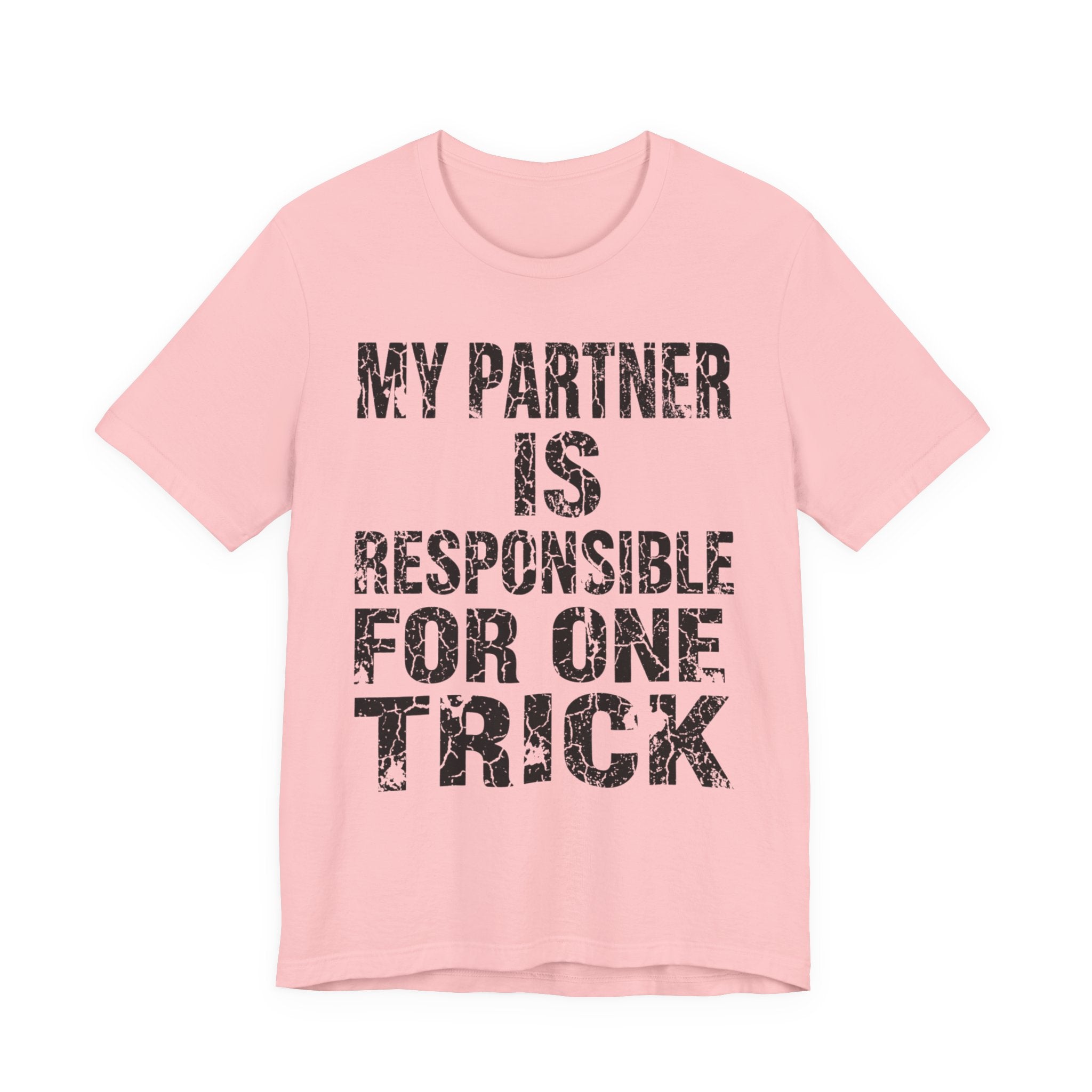 My Partner Is Responsible For One Trick