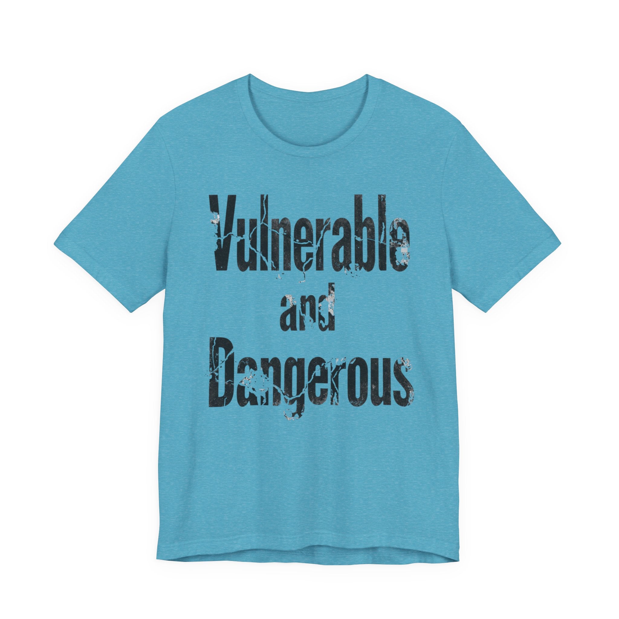 Vulnerable and Dangerous